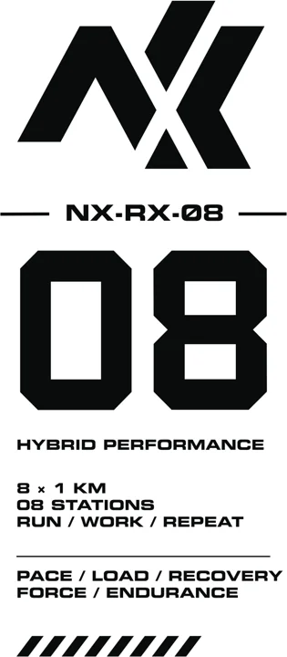 Hybrid graphic system / 02