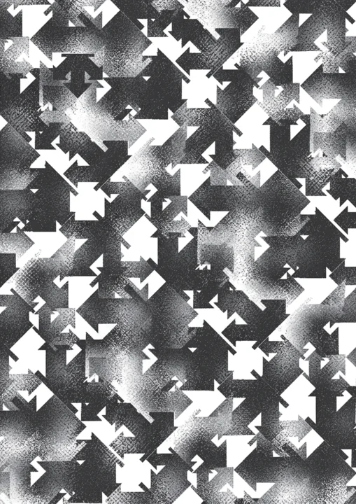 Digital Camouflage / 01