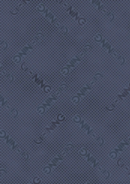 Digital Camouflage / 05