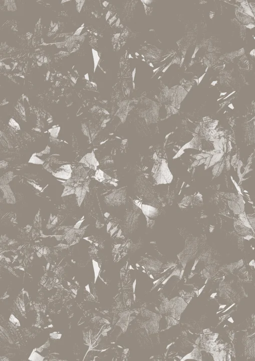 Texture & Atmosphere / 13